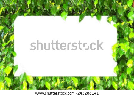 Green leaves in drawing style with text space