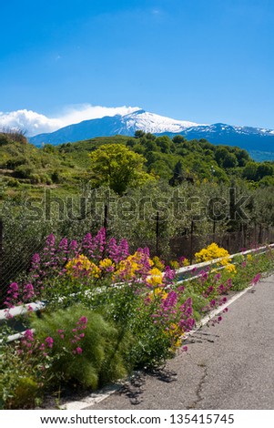 The snow-capped Etna and blue sky of sicilian landscape with flowers from a way