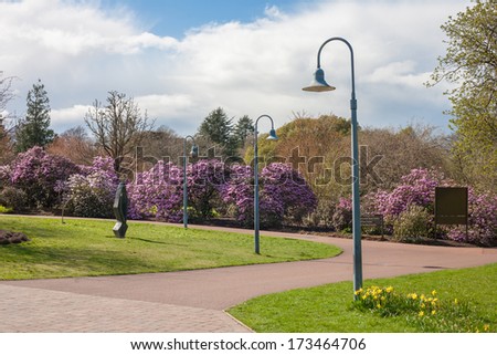 Blossoming bushes in public city garden, Scotland, Edinburgh Royal Botanical Garden