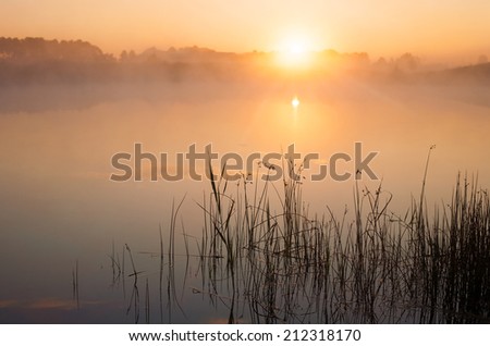 Wonderful sunrise above a foggy lake