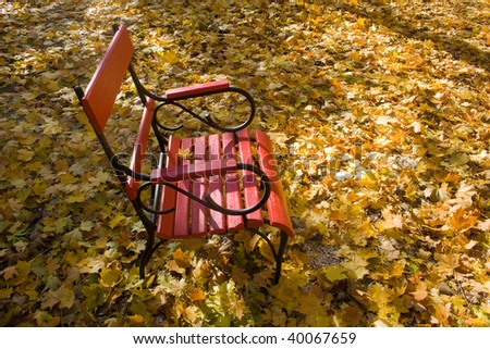 Red bench surrounded by fallen yellow leaves in a park.