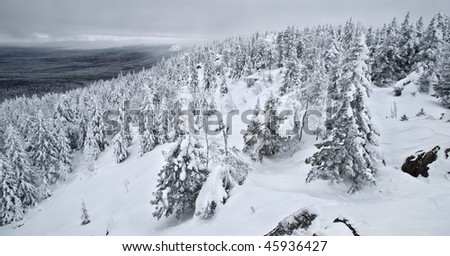 Panoramic view of winter hills with conifer forest at Urals, Russia