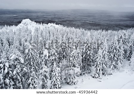 Winter hills with rocks and conifer forest at Urals, Russia