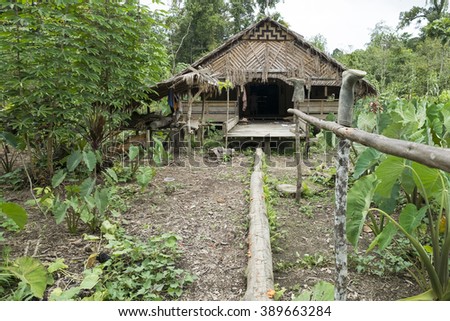 West Sumatera, Indonesia-June 14,2014: Mentawai tribe house in the deep of the jungle.The indigenous inhabitants ethnic of the islands in Muara Siberut are also known as the Mentawai people.