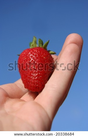 Fresh strawberry held on palm of hand