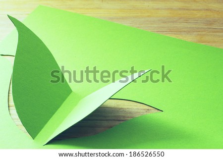 Paper leaf sprouting across the wooden floor with copy space