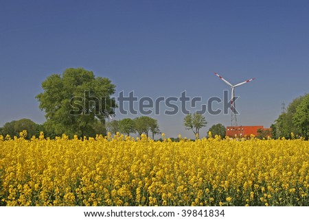 Wind power station with rapeseed field in Lower Saxony, Germany