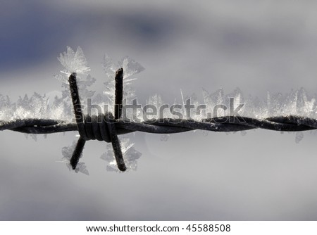 Barbed wire with ice crystals