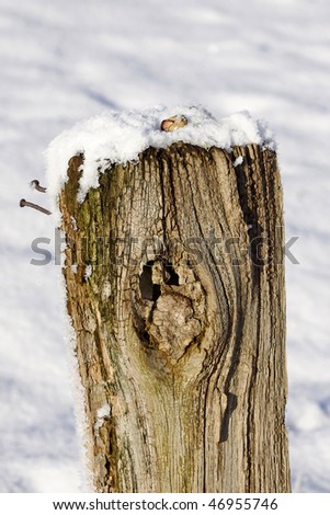 Grazing fencing post with snow in winter. Wood stake