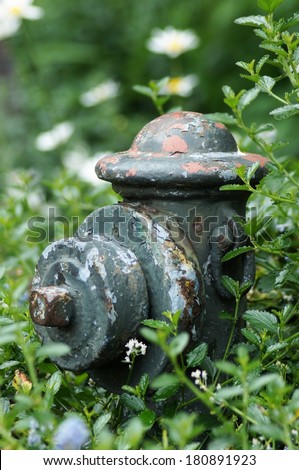 Old fire hydrant, Green Park, London, UK