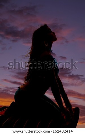 A silhouette of a close up of a woman flying on a magic carpet.