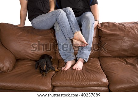 Man and woman cuddling on couch with their dog relaxing next to their legs and feet.