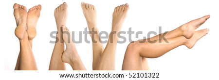 Group Of Legs