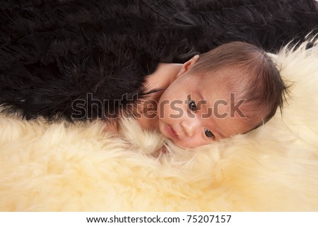 a beautiful oriental baby laying on a fur rug with her black angel wings on her back.