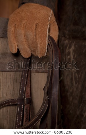 A man with a glove on holding on to a bridle.