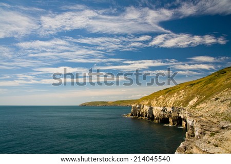 Jurassic coast is among UK\'s most important natural heritage sites thanks to its rich fossil deposits.