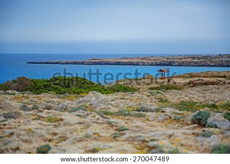 Coast of Cyprus, Mediterranean sea. Beach, palms and crystal sea.