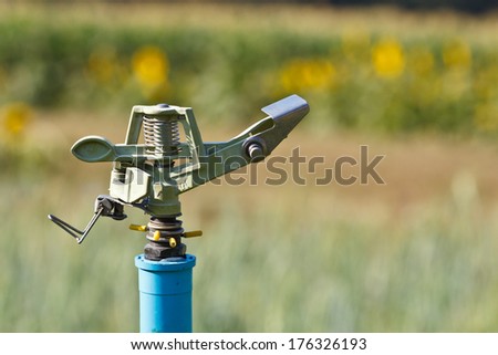 sprinkler head watering the flowers ,close-Up
