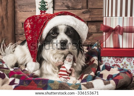 Christmas postcards, dog with hat and santa claus doll lying on a blanket with gift boxes