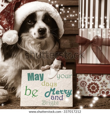 Christmas postcards with Christmas wishes, dog with hat and santa claus doll