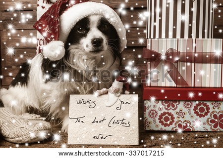 Christmas postcards with Christmas wishes, dog with hat and santa claus doll