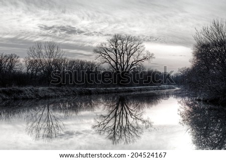 Tree Reflected in Water