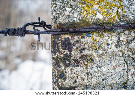 Old Concrete Post with Rusted Barbed Wire