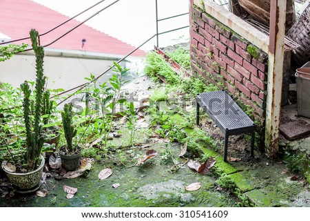 Old backyard of a home, Hong Kong