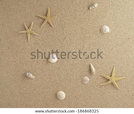 bottom sand starfish and shells plan view