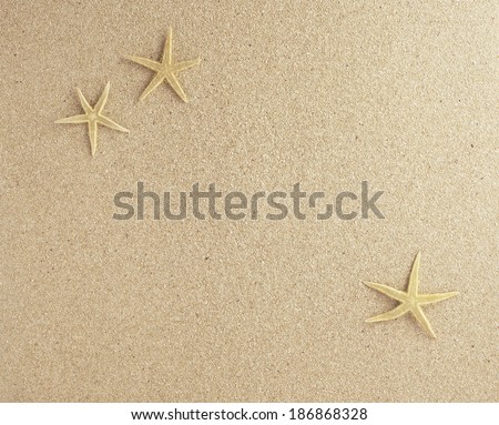 sand bottom with three starfish plan view