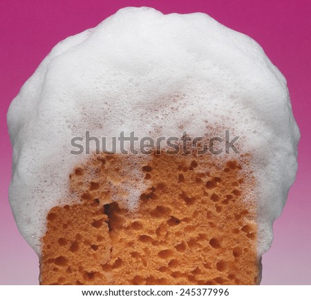 Sponge with foam