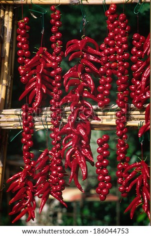 Red chillies hanging out to dry