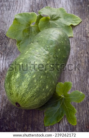 Winter melon (Benincasa hispida) is an unusual vegetable native to southeast asia