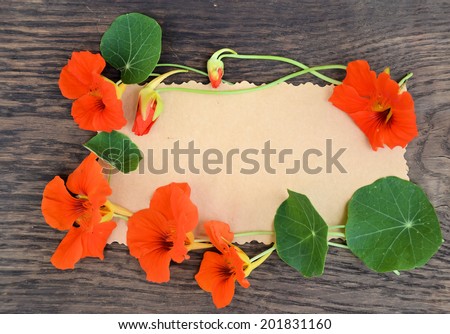 bright flowers Capuchin, background for text