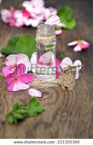 essential oil of rose geranium