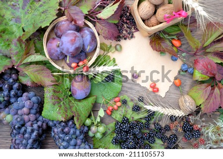 autumn berries, autumn background for text