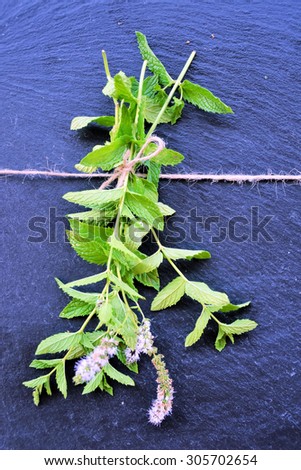flowering mint,  dark background, natural herbs
