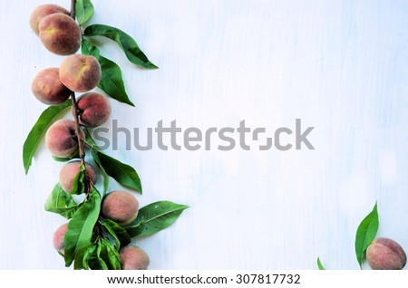 frame of peaches, background for text
