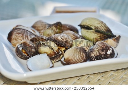 Acanthocardia- edible clam on a white plate