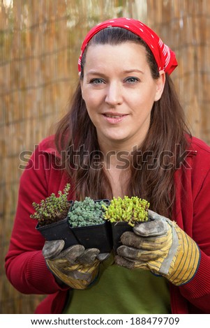 Woman with a red headscarf gardening and holding three flower pots with different plants for a rock garden in front of a bamboo fence.