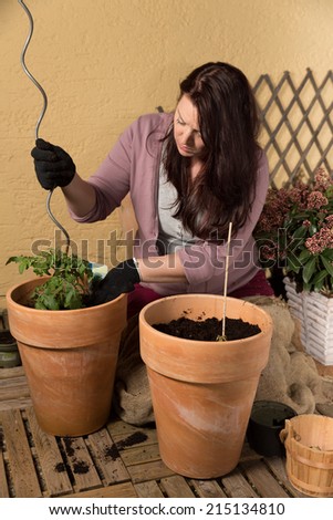 my little tomato plant woman sitting on balcony and pot a small tomato plant a