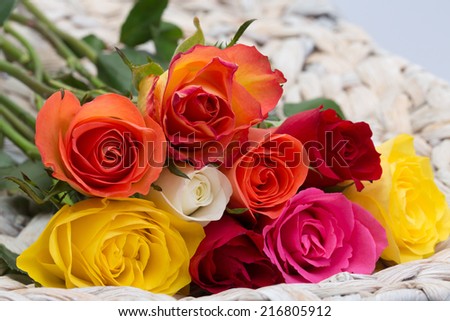 Lying Roses bouquet of colored roses lying in a basket