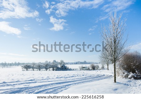 winter wonder land - winter road