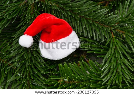 christmas background - funny santa hat on green fir branch