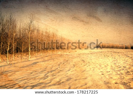 winter landscape. oil painting look