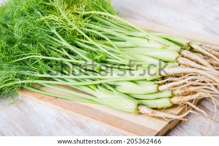 young fennel