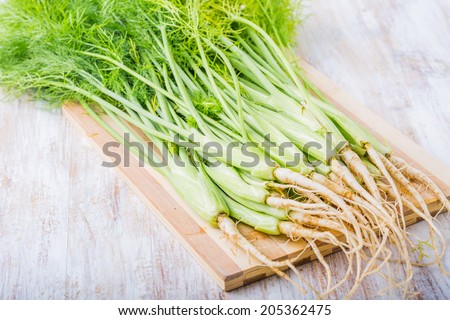 young fennel