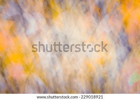 blurry nature abstraction