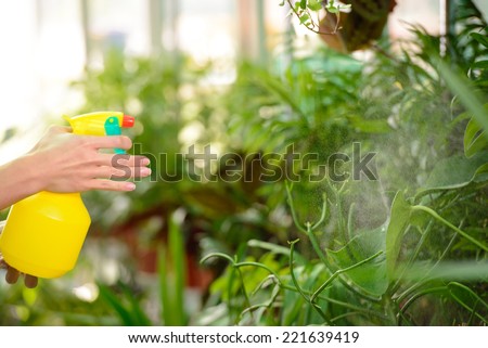 Making the world green. Cropped image of woman in apron taking care of plants while standing in greenhouse