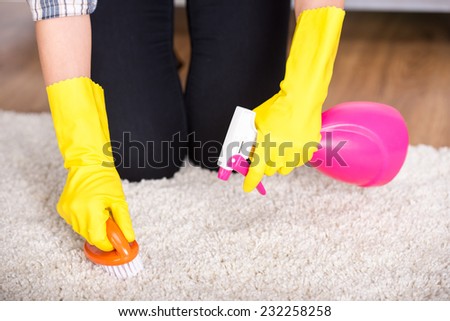 Portrait of woman is doing some cleaning work in the house.
